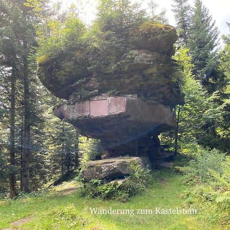 3- 2-1 - Raum - Ferienappartements Dieter Hoffmann Freudenstadt-Kniebis Beim Nationalpark מראה חיצוני תמונה