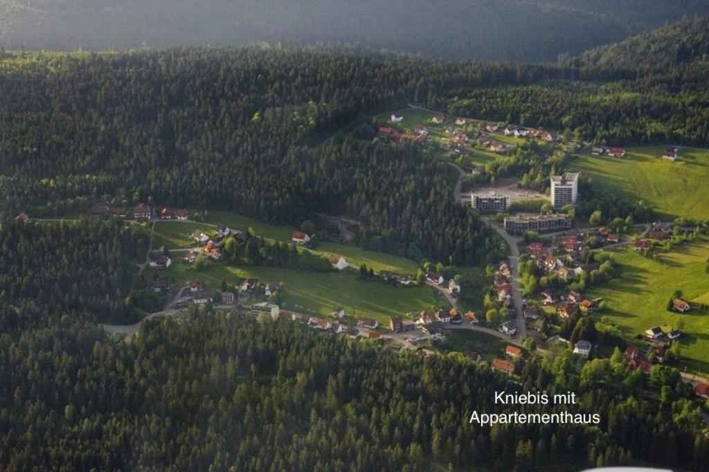 3- 2-1 - Raum - Ferienappartements Dieter Hoffmann Freudenstadt-Kniebis Beim Nationalpark מראה חיצוני תמונה